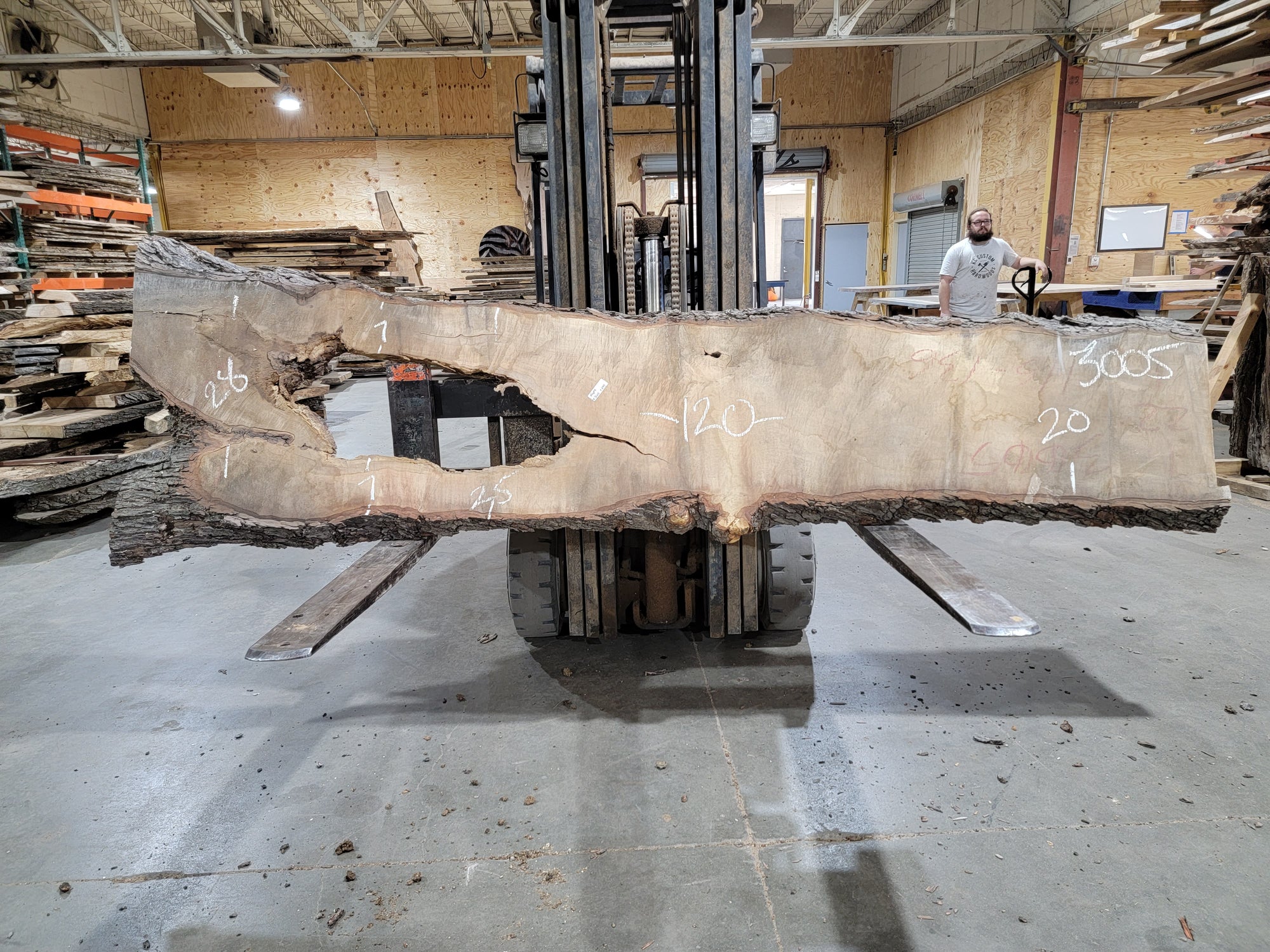 Sugar Maple (3005) 103" L x 20-28" W x 2.5" T
