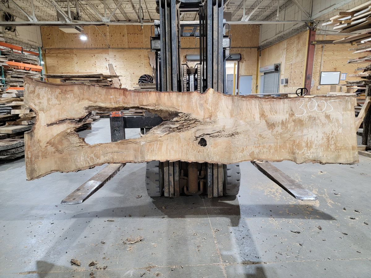 Sugar Maple (3005) 103&quot; L x 20-28&quot; W x 2.5&quot; T