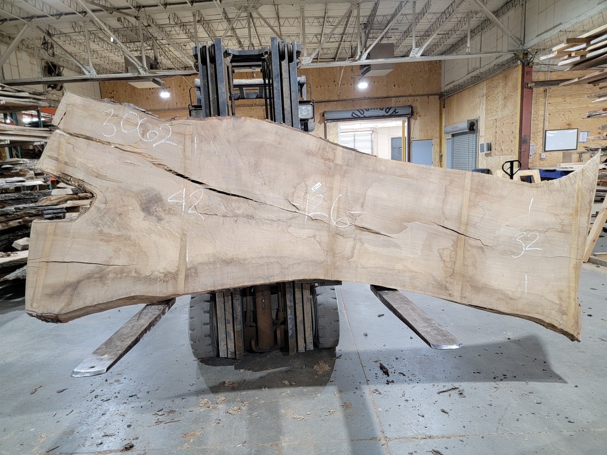 Sugar Maple (3062) 126" L x 32-42" W x 3" T