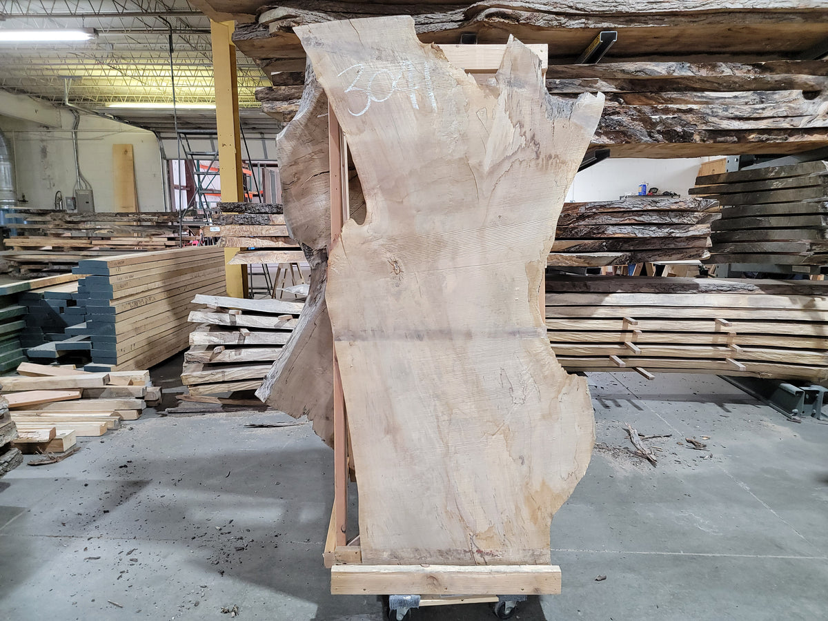 Maple (3041) 72" L x 17-31" W x 2.5" T