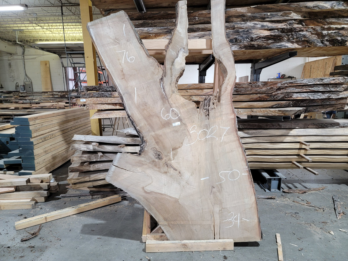 Maple (3027) 60&quot; L x 34-50&quot; W x 2.5&quot; T