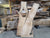Maple (3025) 84" L x 37-40" W x 2.5" T