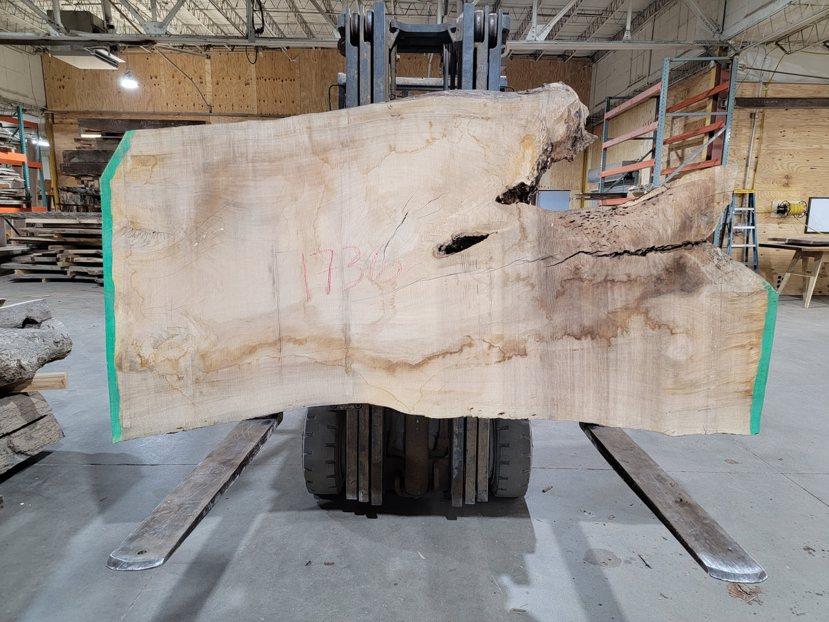 Silver Maple (1736) 94&quot; L x 42-46&quot; W x 3&quot; T