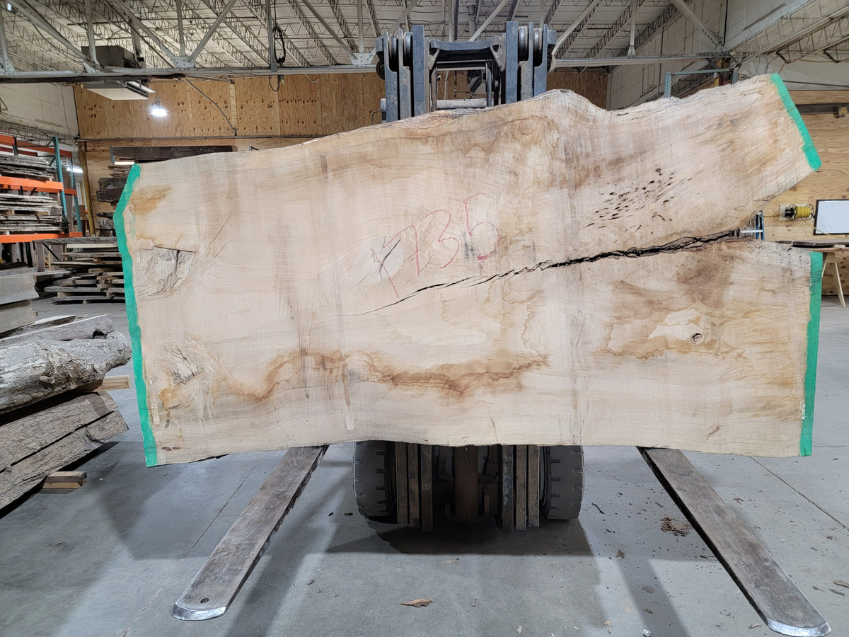 Silver Maple (1735) 94&quot; L x 33-46&quot; W x 3&quot; T