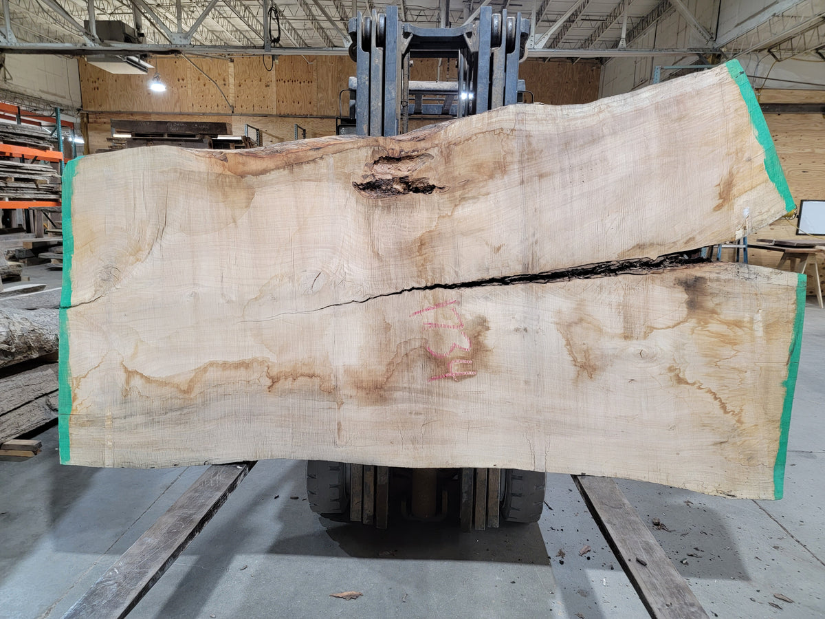 Silver Maple (1734) 102&quot; L x 47-55&quot; W x 3&quot; T