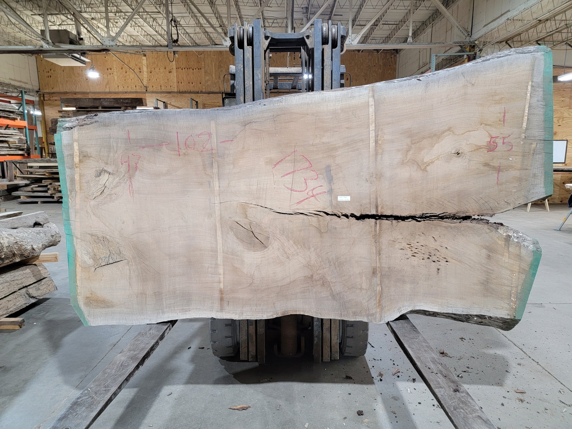 Silver Maple (1734) 102" L x 47-55" W x 3" T