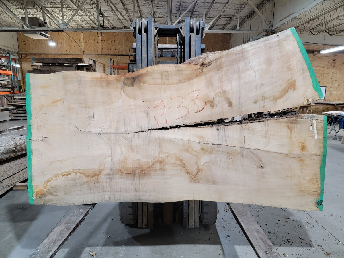 Silver Maple (1733) 102&quot; L x 44-60&quot; W x 3&quot; T