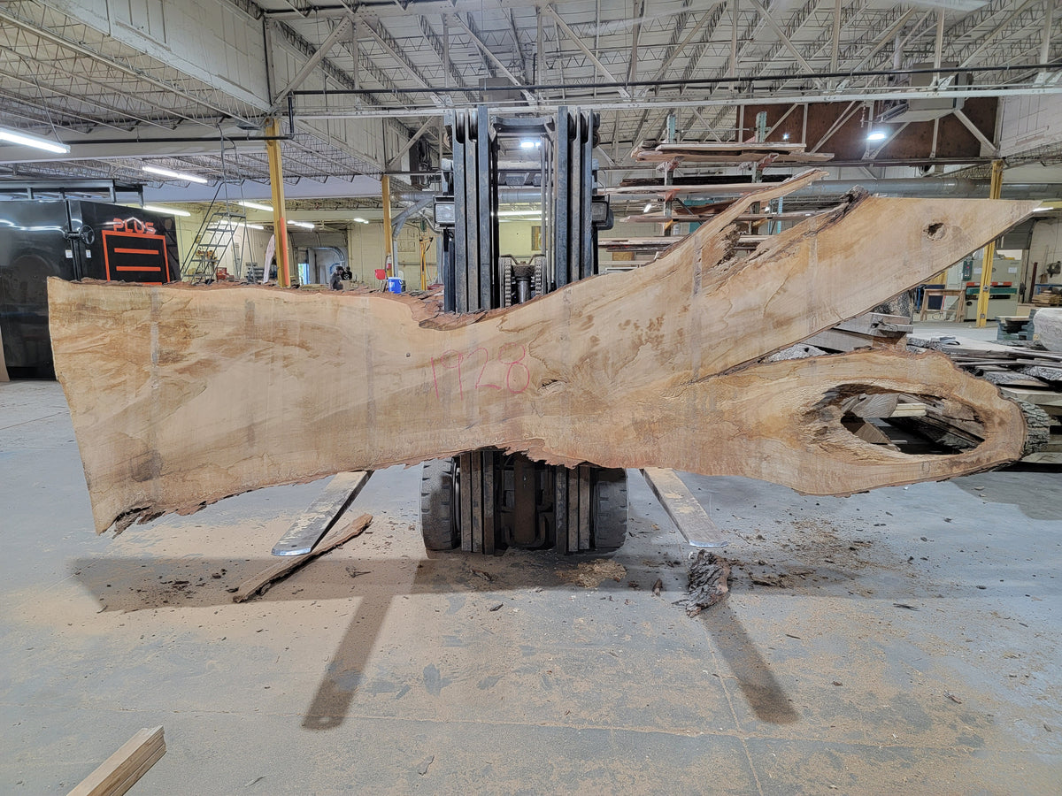 Silver Maple (1928) 136&quot; L x 14-37&quot; W x 3&quot; T