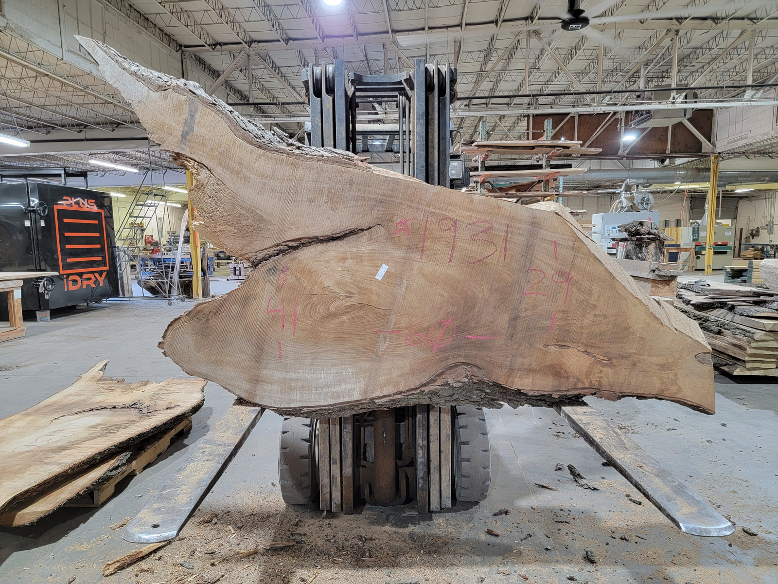 Silver Maple (1931) 60" L x 29-41" W x 3.75" T