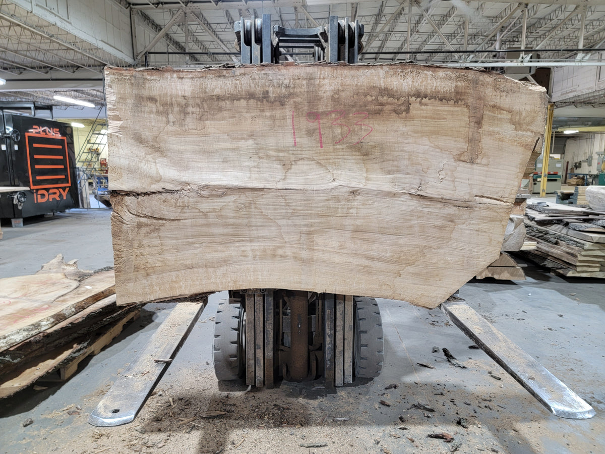 Silver Maple (1933) 66&quot; L x 42-45&quot; W x 3&quot; T