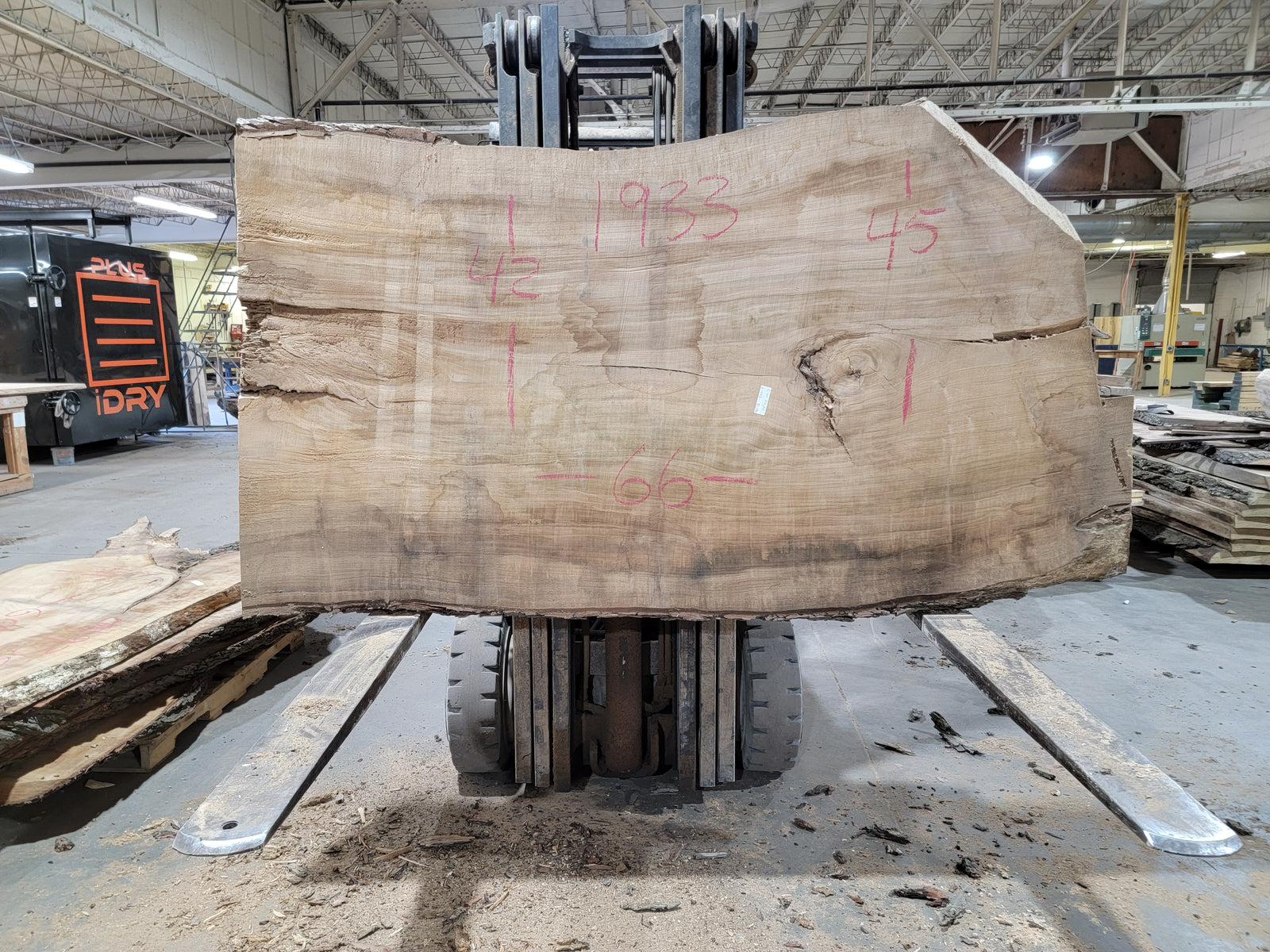 Silver Maple (1933) 66" L x 42-45" W x 3" T