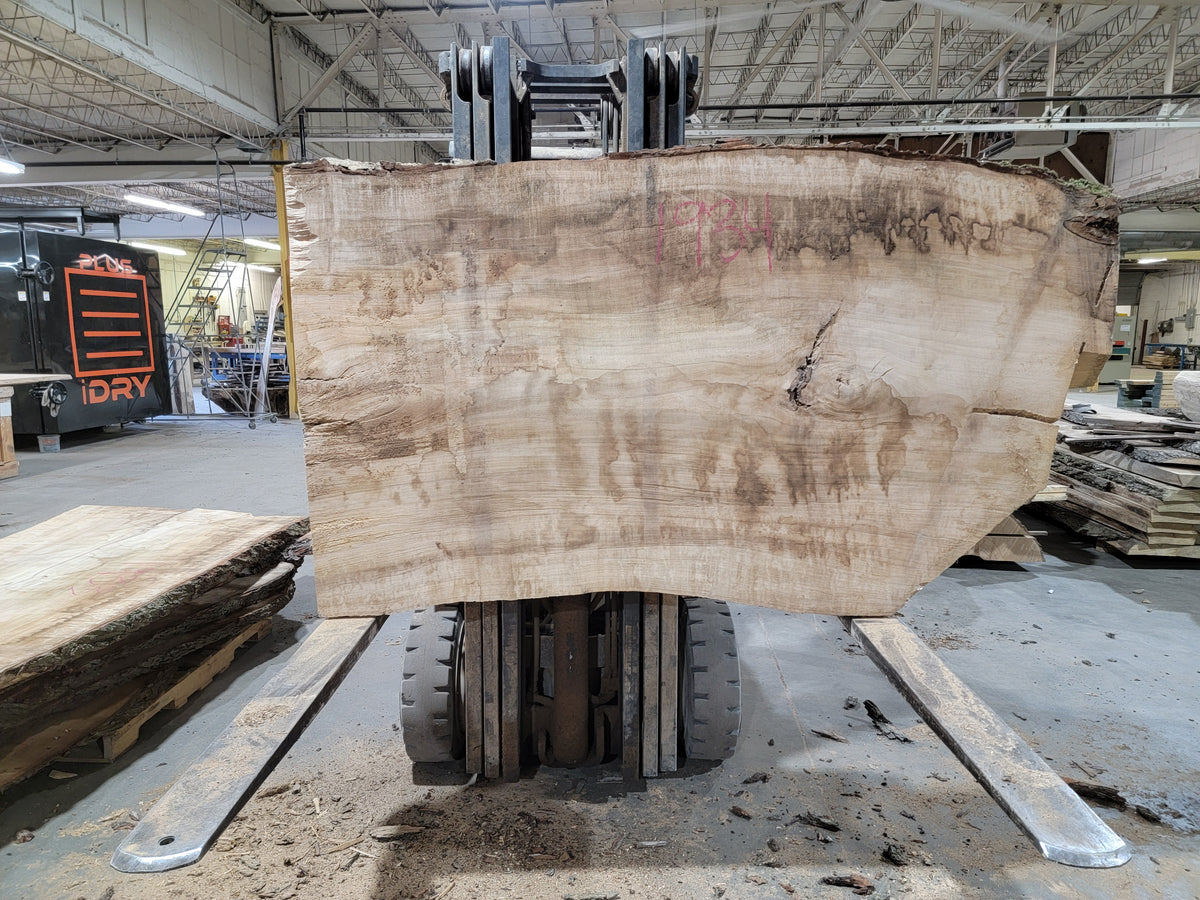 Silver Maple (1934) 60&quot; L x 41-42&quot; W x 3&quot; T