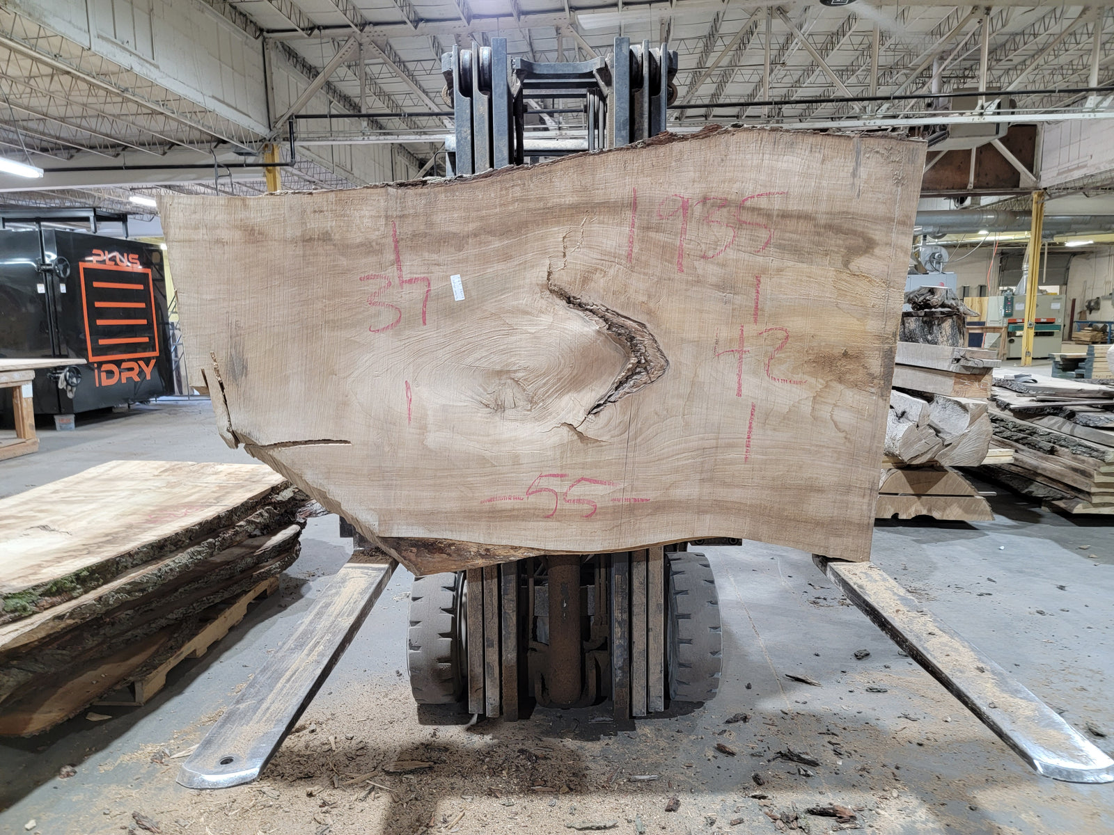 Silver Maple (1935) 55" L x 37-42" W x 3" T