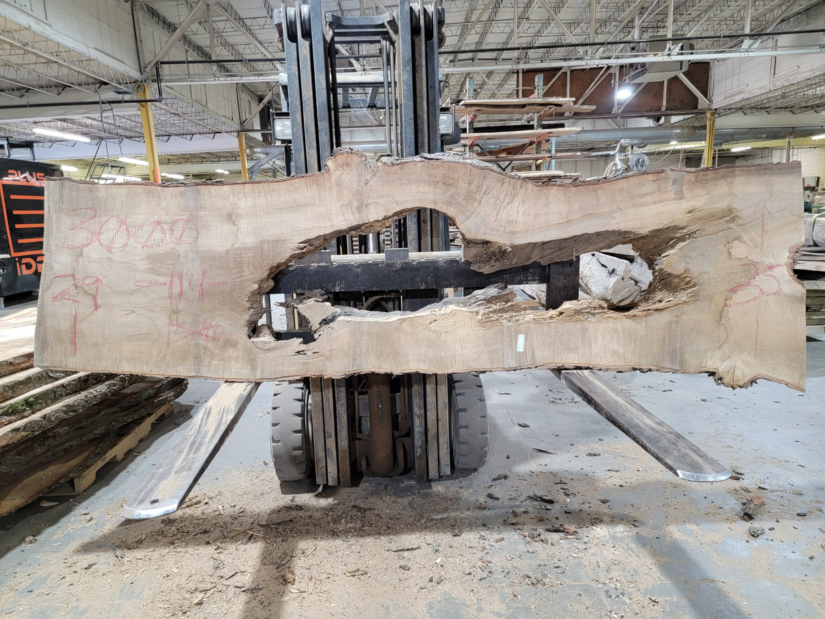 Sugar Maple (3000) 114&quot; L x 29-35&quot; W x 2.5&quot; T