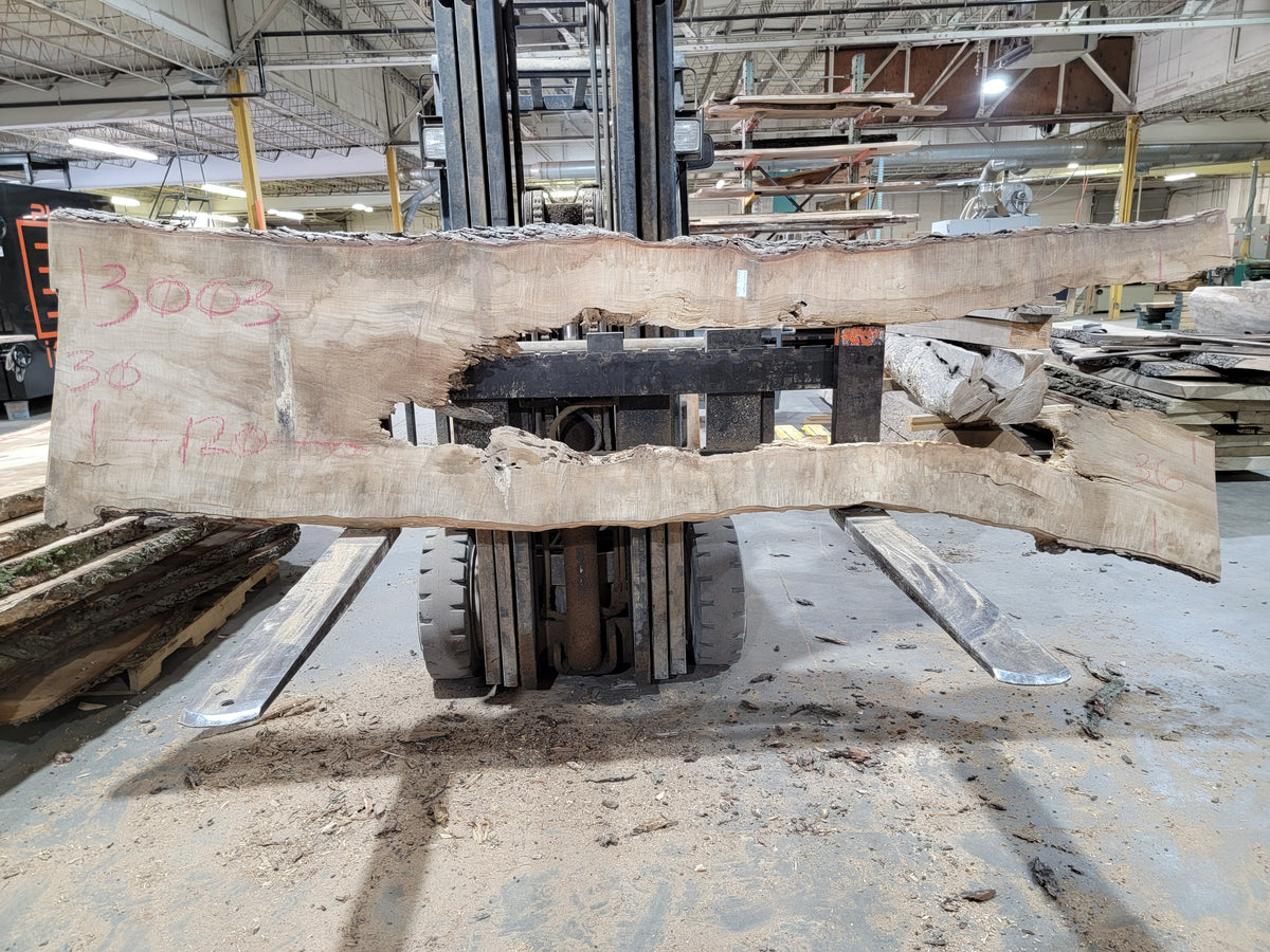 Sugar Maple (3003) 120&quot; L x 30-36&quot; W x 2.75&quot; T