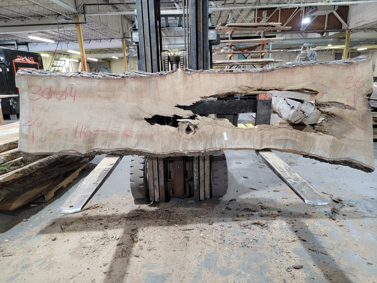 Sugar Maple (3004) 116&quot; L x 26-38&quot; W x 3&quot; T