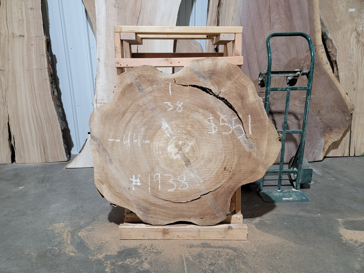 Cottonwood (1938)  43.5” L x 38” W x 4” T