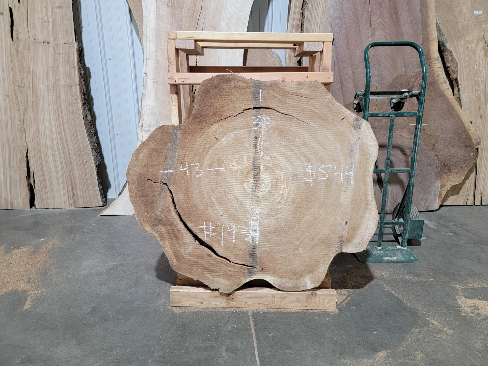 Cottonwood (1939)  43” L x 38” W x 4” T