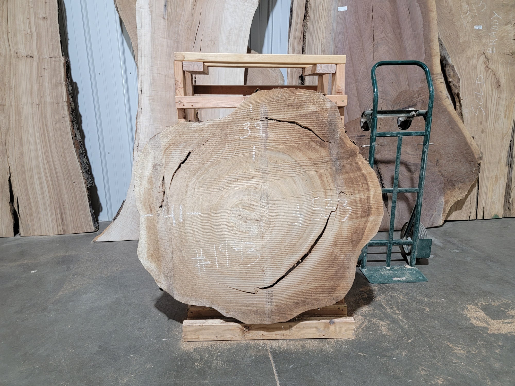Cottonwood (1943)  41” L x 39” W x 4” T