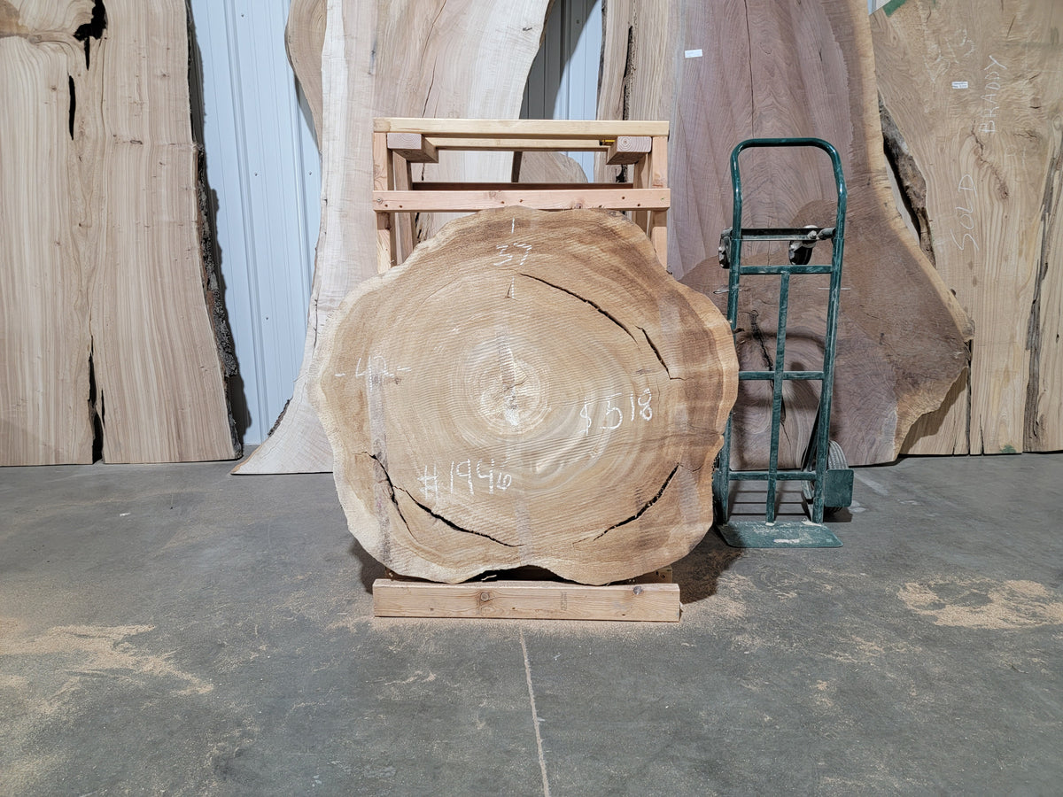 Cottonwood (1946)  42” L x 37” W x 4” T