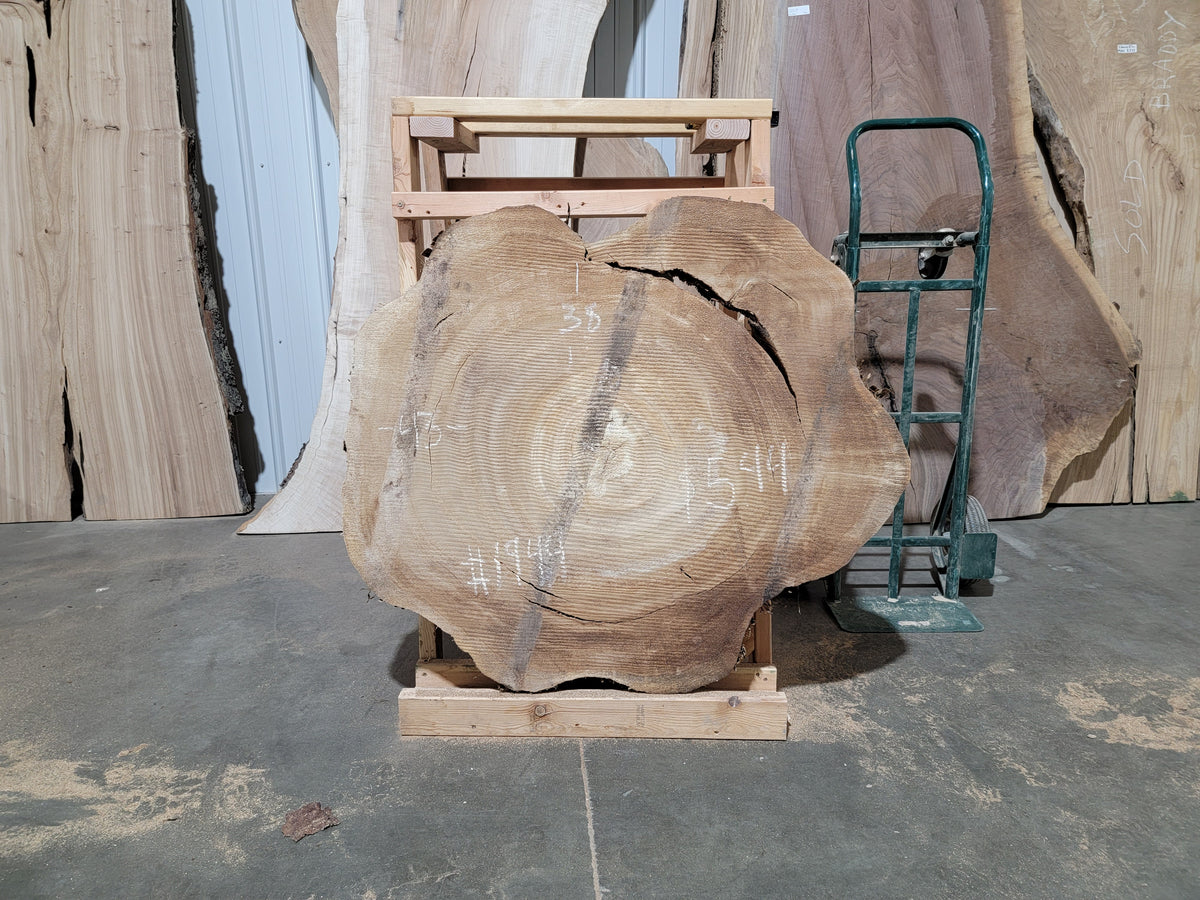 Cottonwood (1949)  43” L x 38” W x 4” T