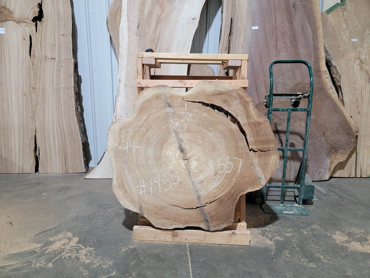 Cottonwood (1950)  44” L x 38” W x 4” T