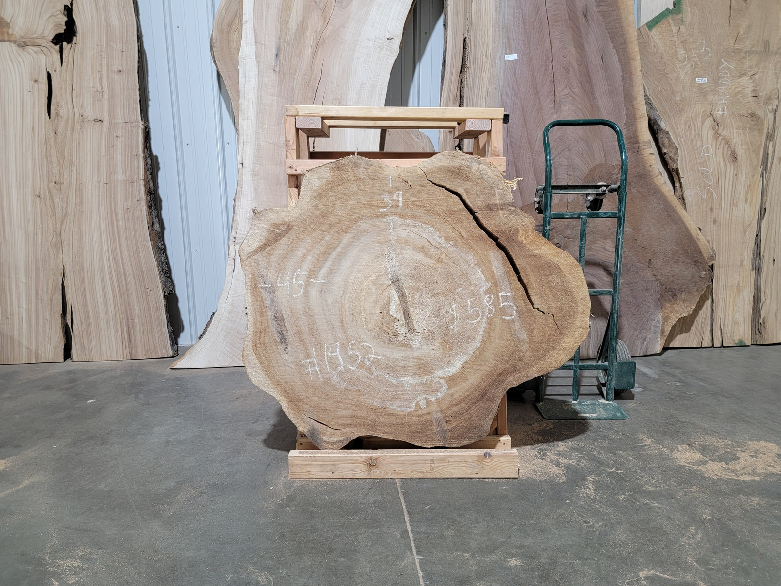 Cottonwood (1952)  45” L x 39” W x 4” T