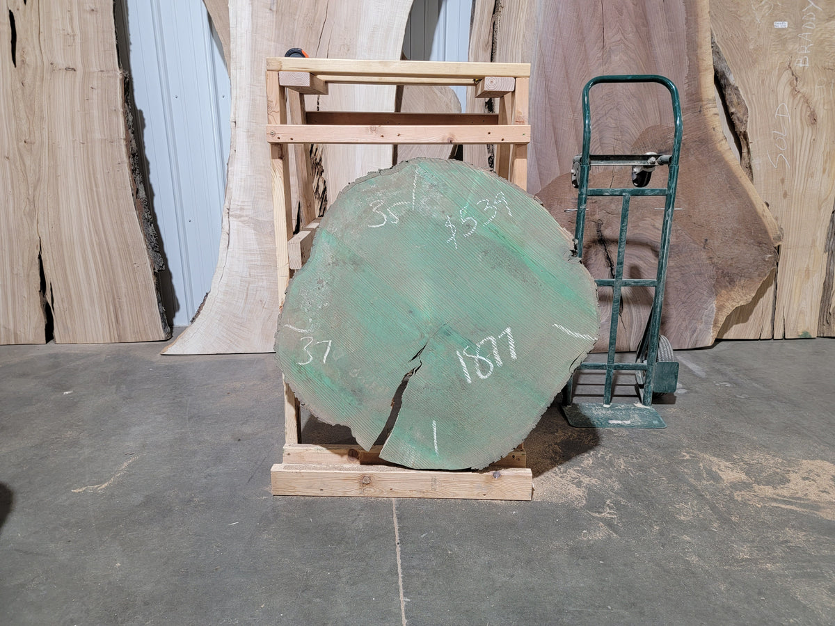 Maple Crosscut (1877)  37” L x 35” W x 4” T