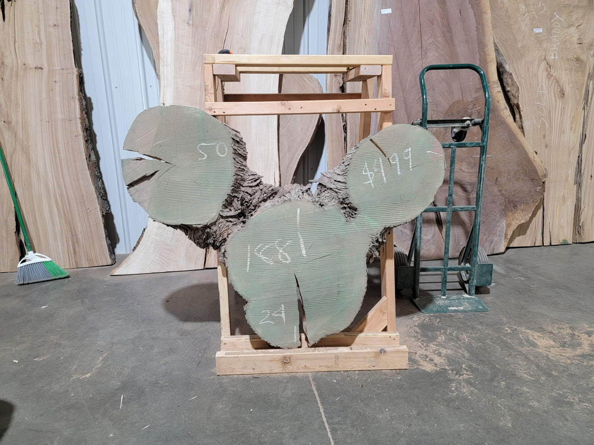 Maple Crosscut (1881)  50” L x 24” W x 4” T