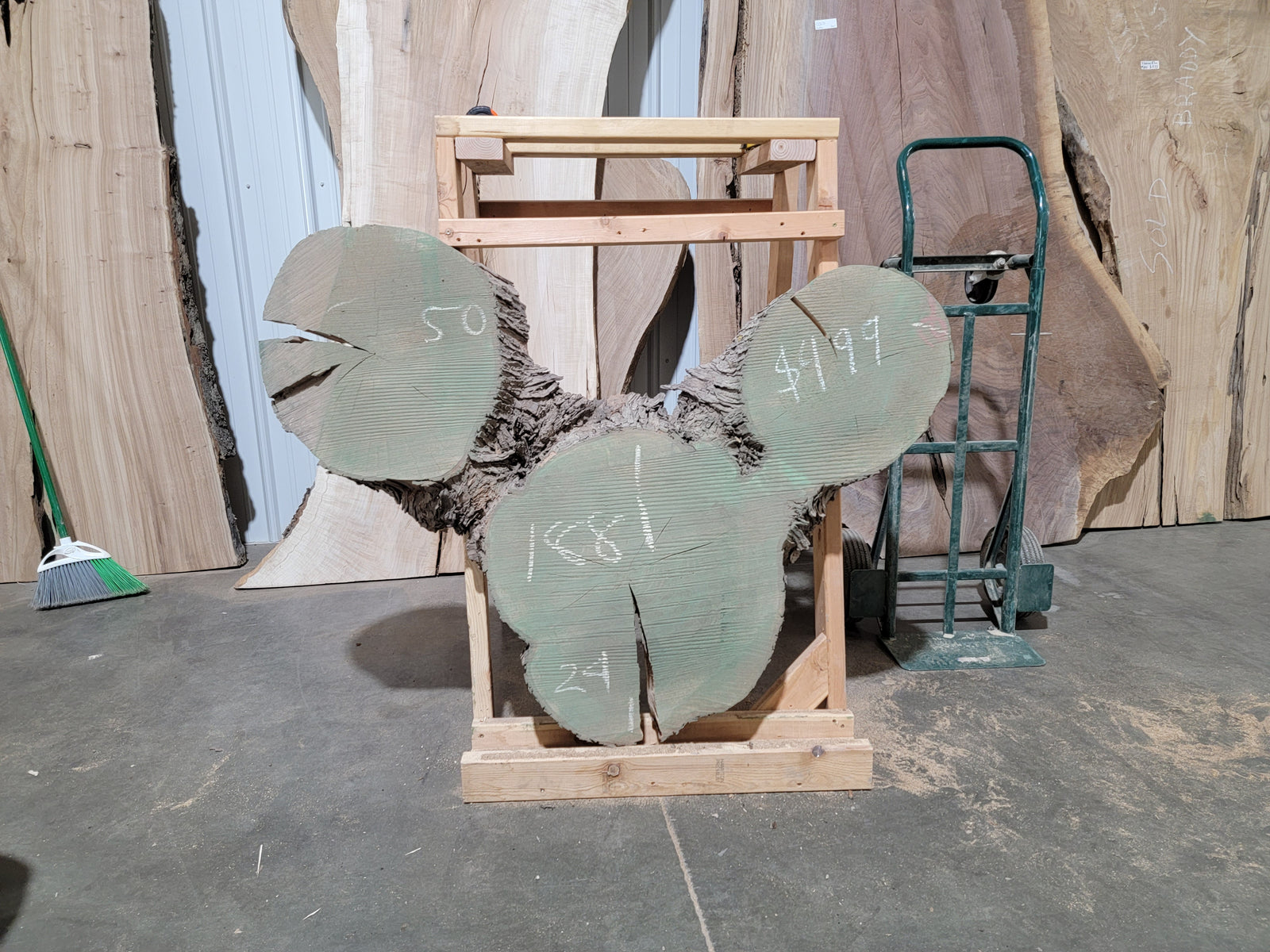 Maple Crosscut (1881)  50” L x 24” W x 4” T