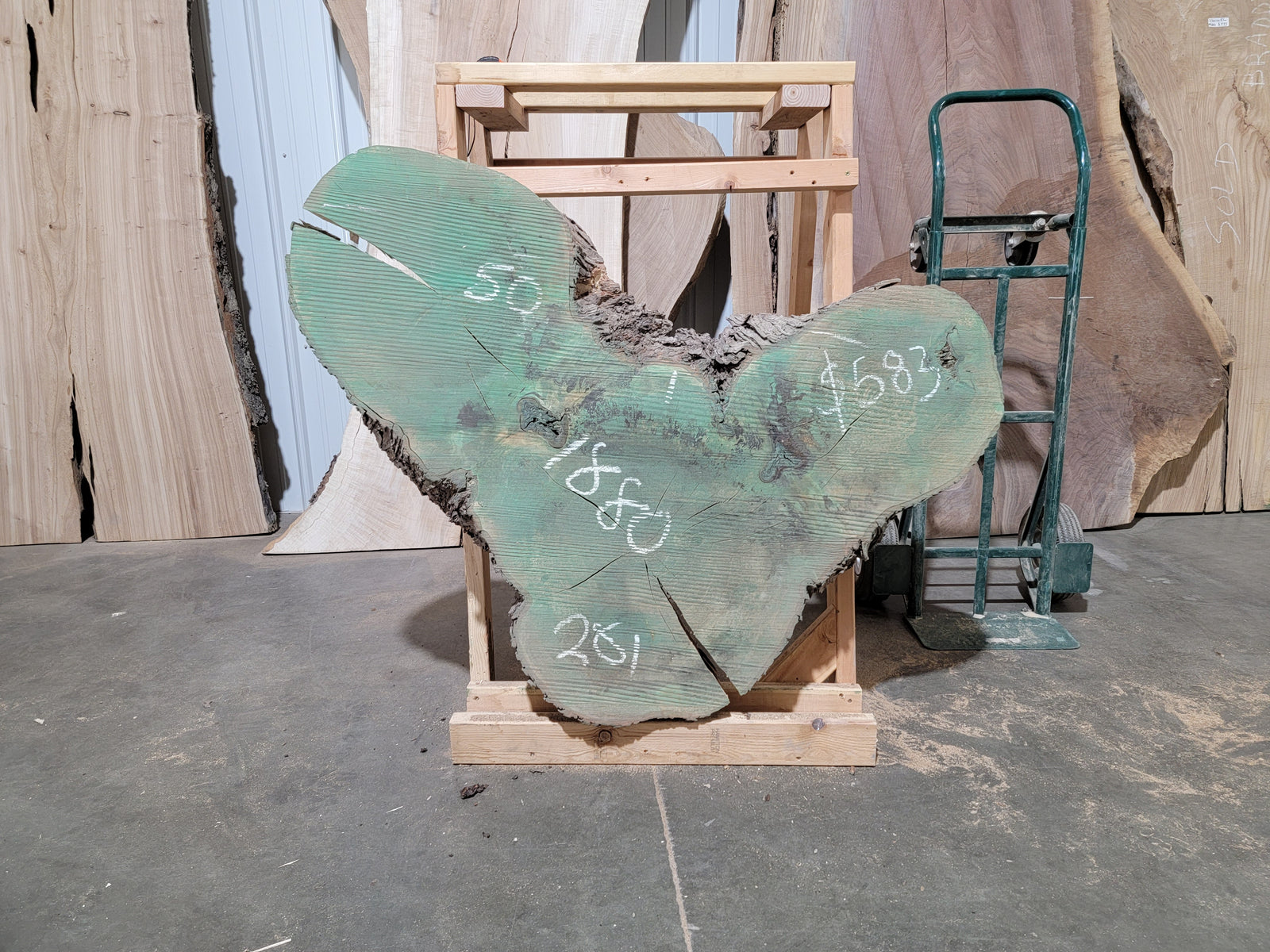 Maple Crosscut (1880)  50” L x 28” W x 4” T