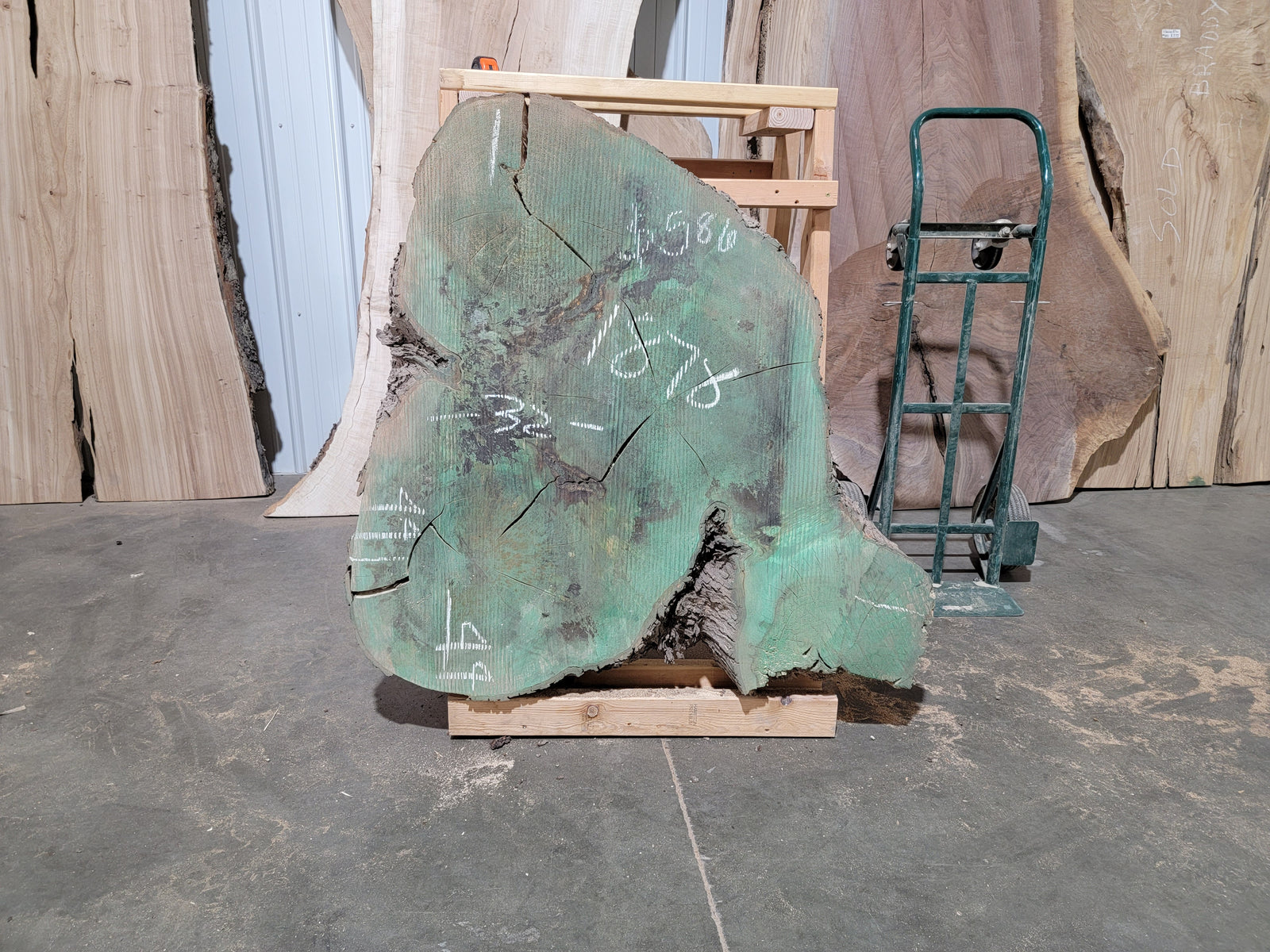 Maple Crosscut (1878)  44” L x 32” W x 4” T