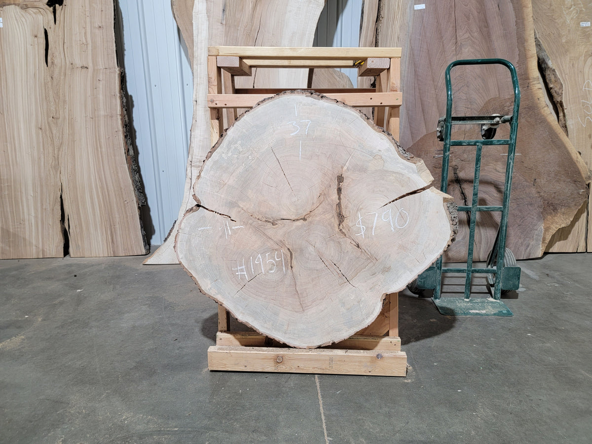 Maple Crosscut (1954)  41” L x 37” W x 4” T