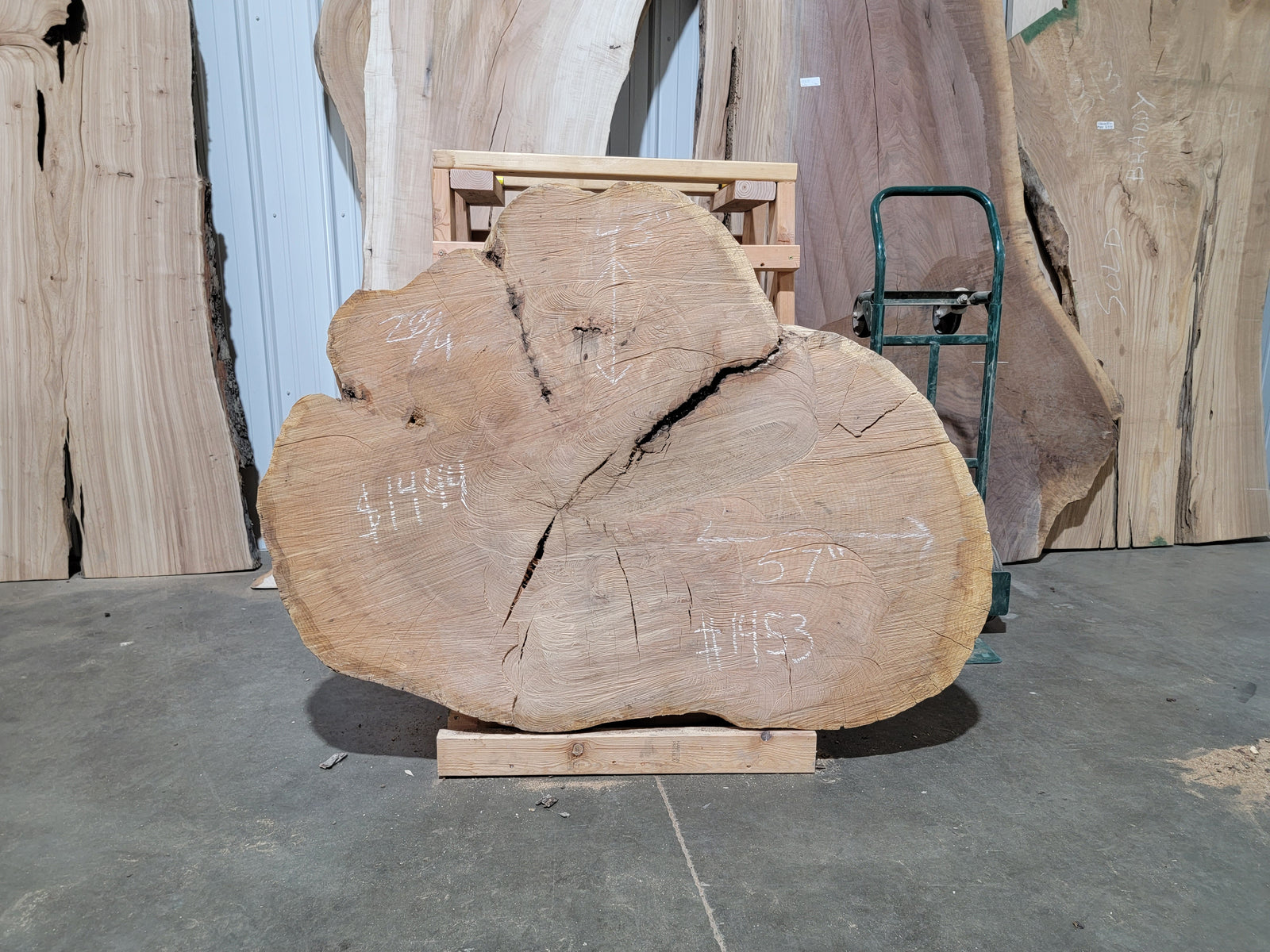 Red Oak Crosscut (1453)  55” L x 42” W x 5” T