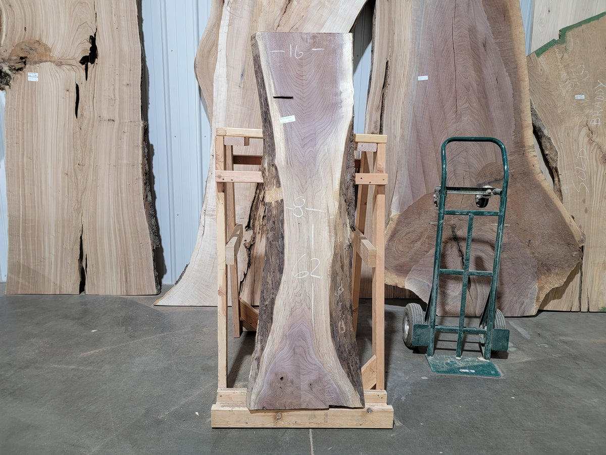 Black Walnut (1957)  62” L x 8-16” W x 2” T