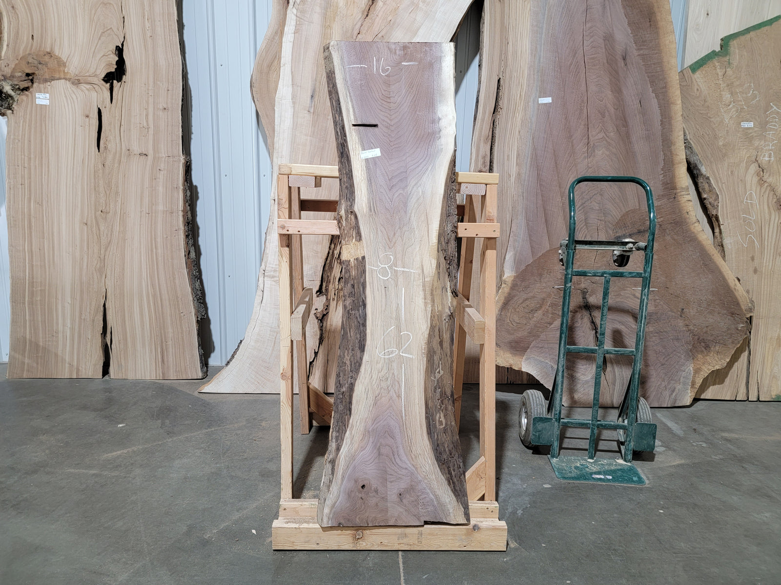 Black Walnut (1957)  62” L x 8-16” W x 2” T