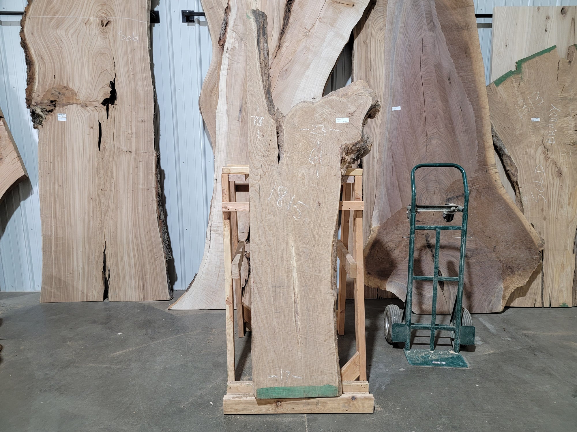 Siberian Elm  (1815)  61” L x 17-23” W x 3” T