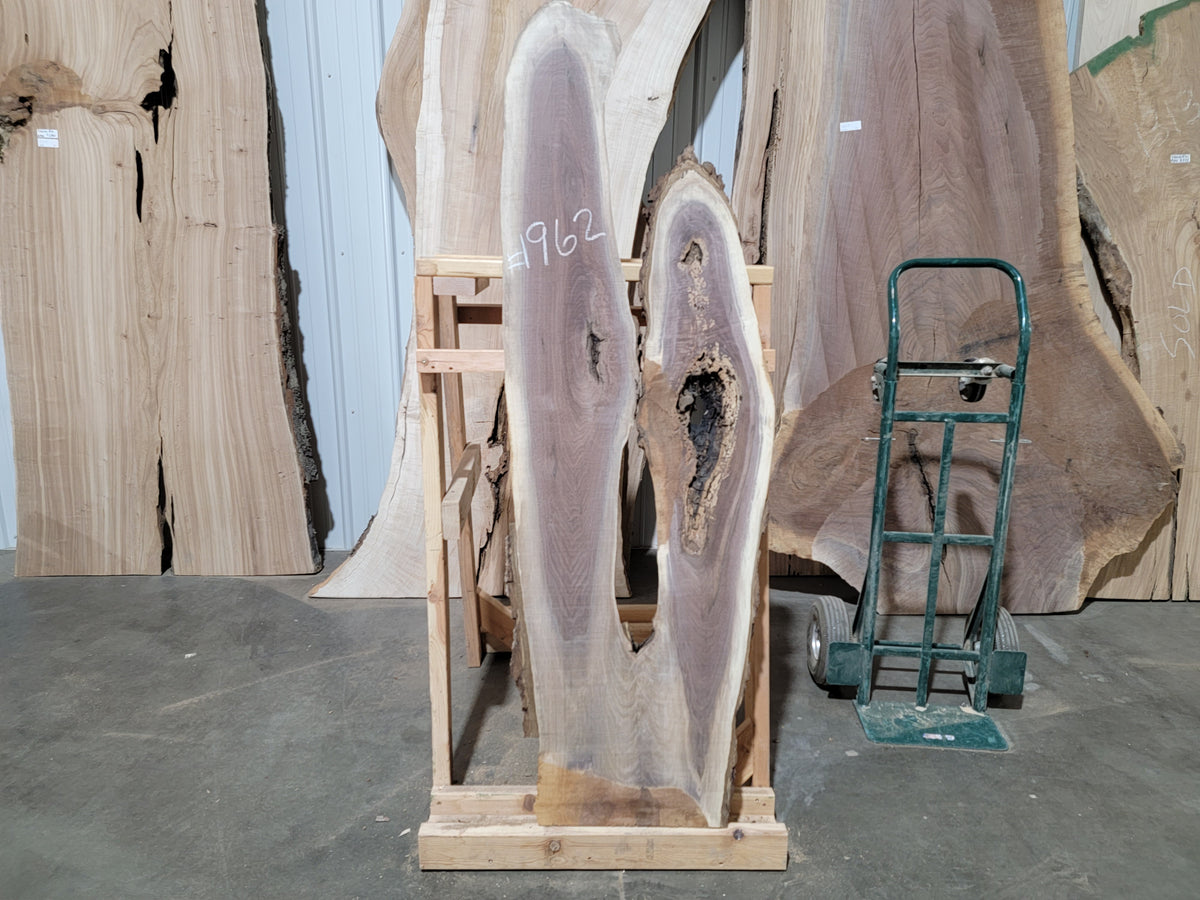 Black Walnut  (1962)  61” L x 15-19” W x 2” T