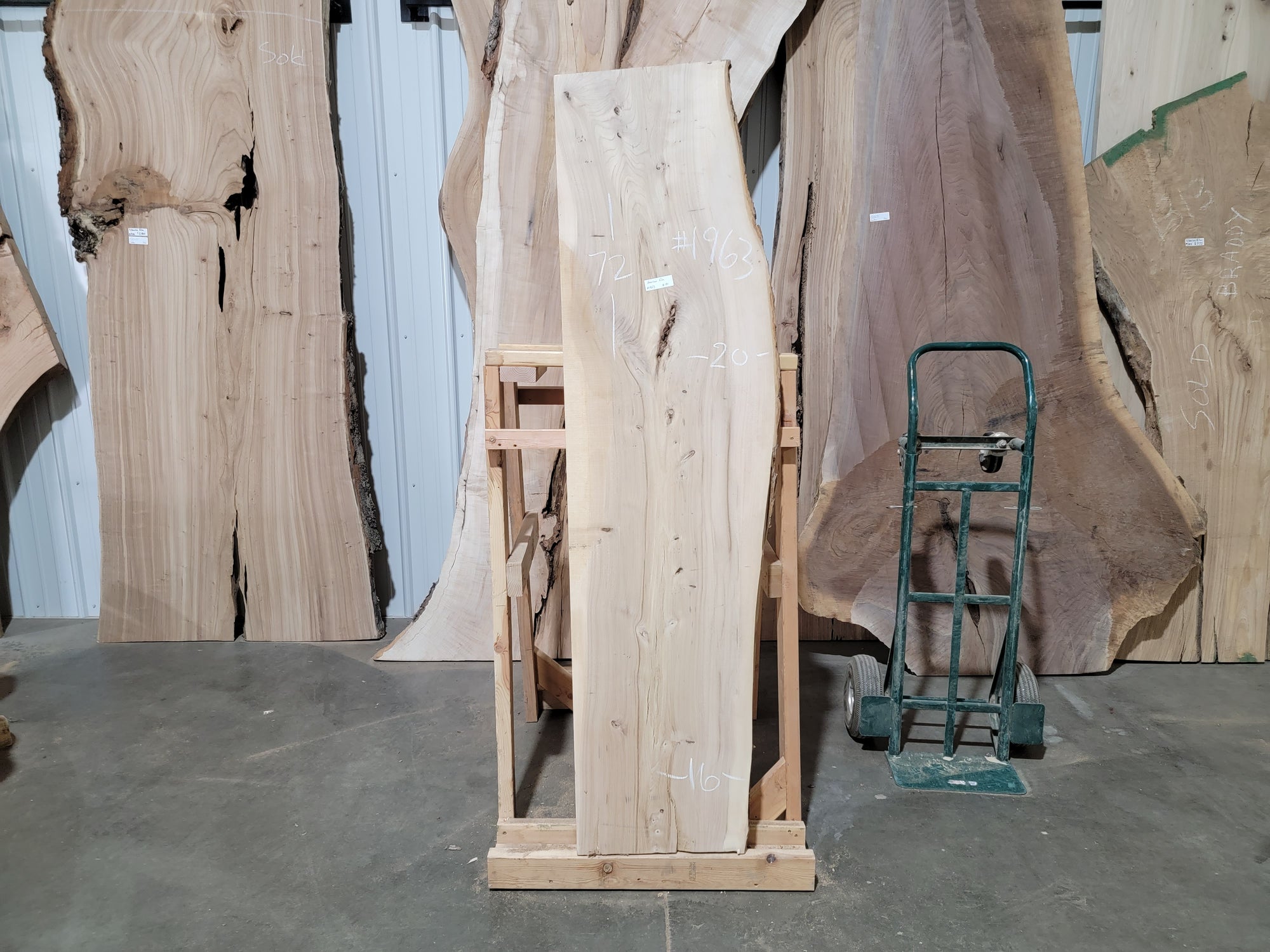 American Elm (1963)  72” L x 16-20” W x 2” T