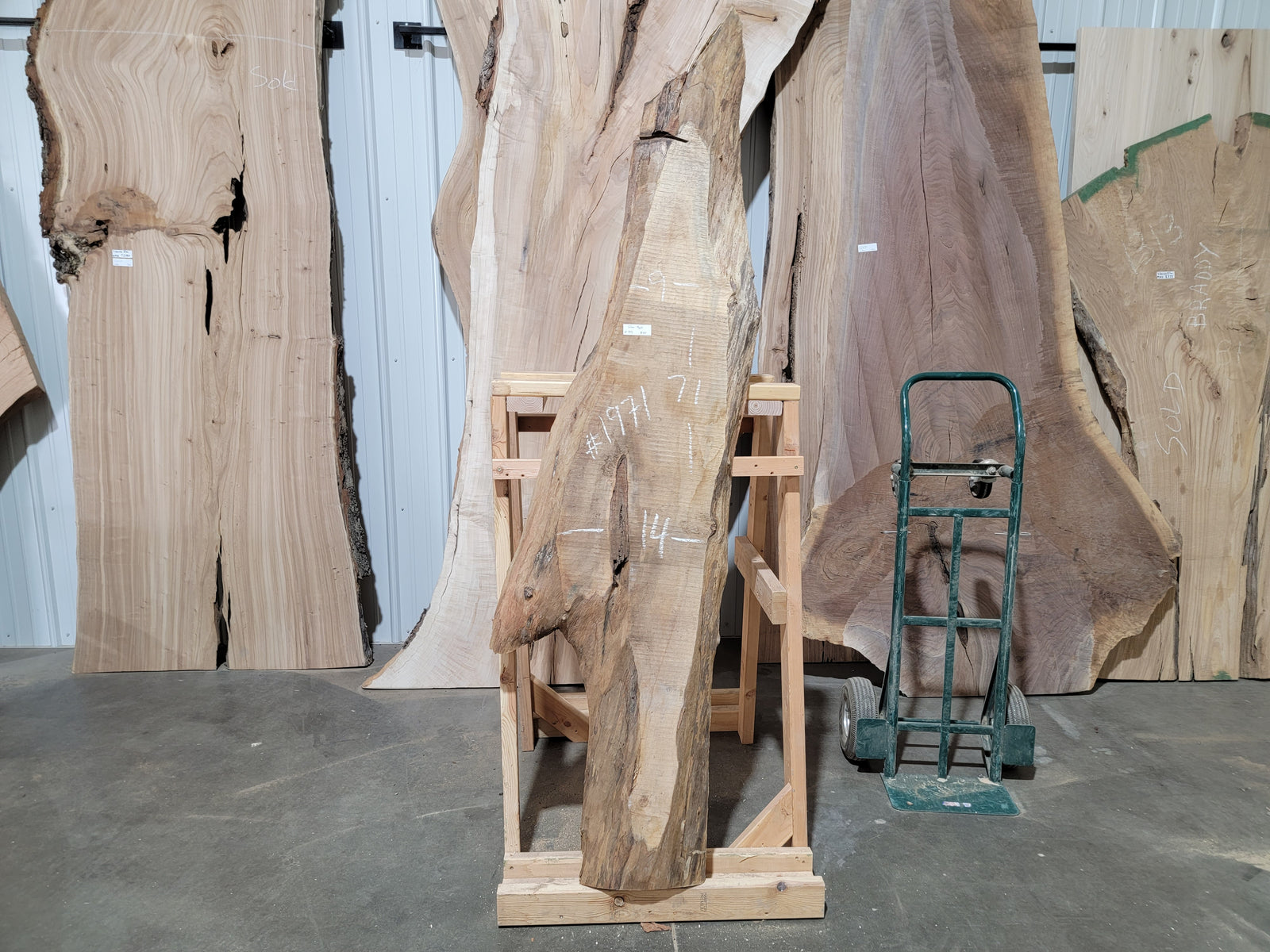 Silver Maple (1971)  71” L x 9-14” W x 2” T