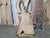 Silver Maple (1974)  60” L x 15-36” W x 2.25” T