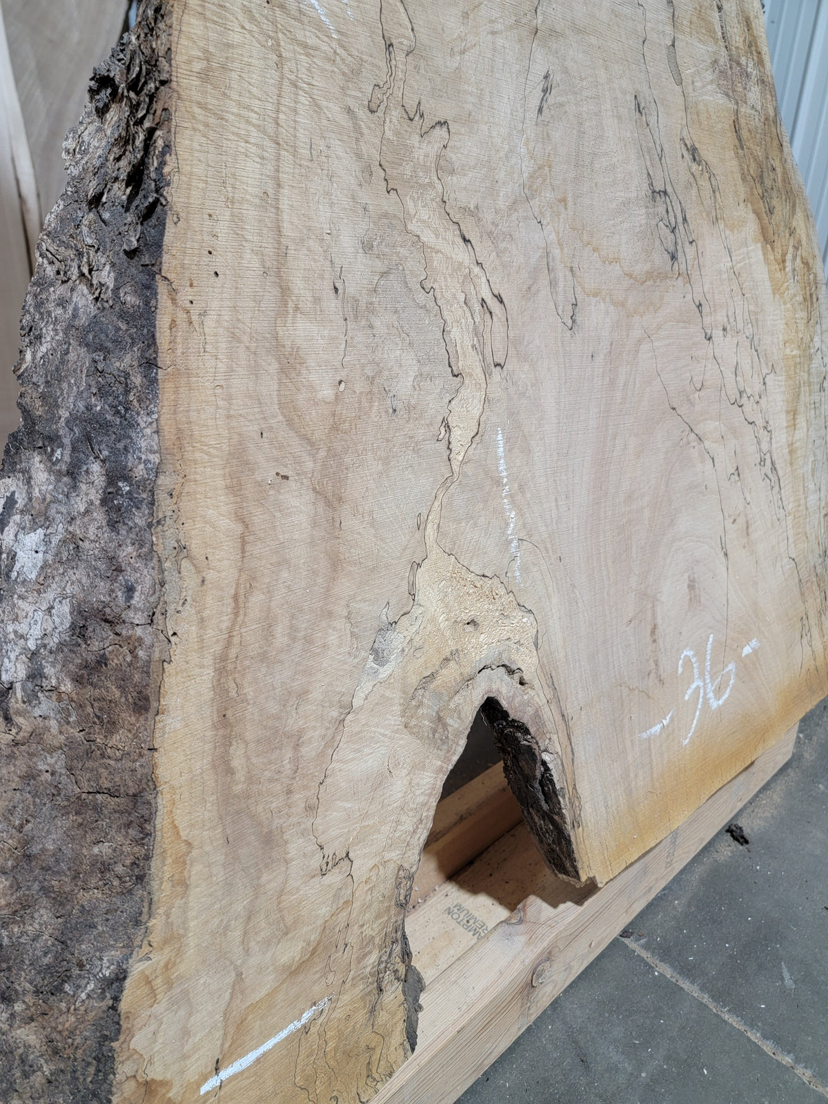 Silver Maple (1974)  60” L x 15-36” W x 2.25” T