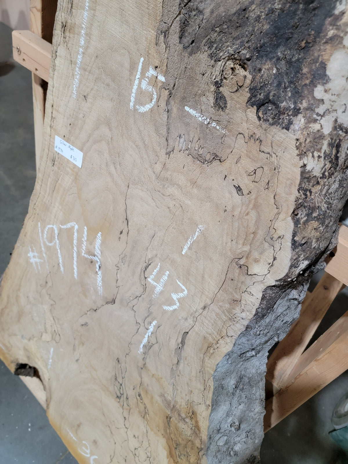 Silver Maple (1974)  60” L x 15-36” W x 2.25” T