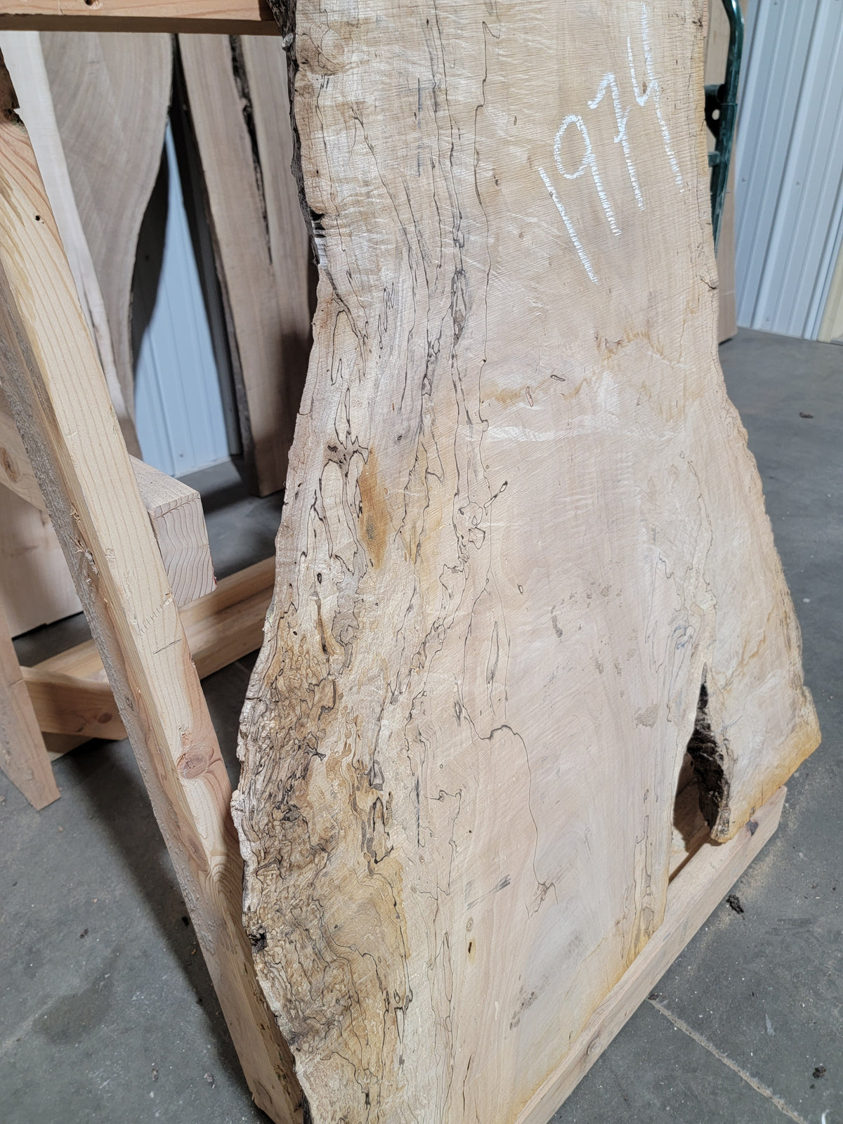 Silver Maple (1974)  60” L x 15-36” W x 2.25” T