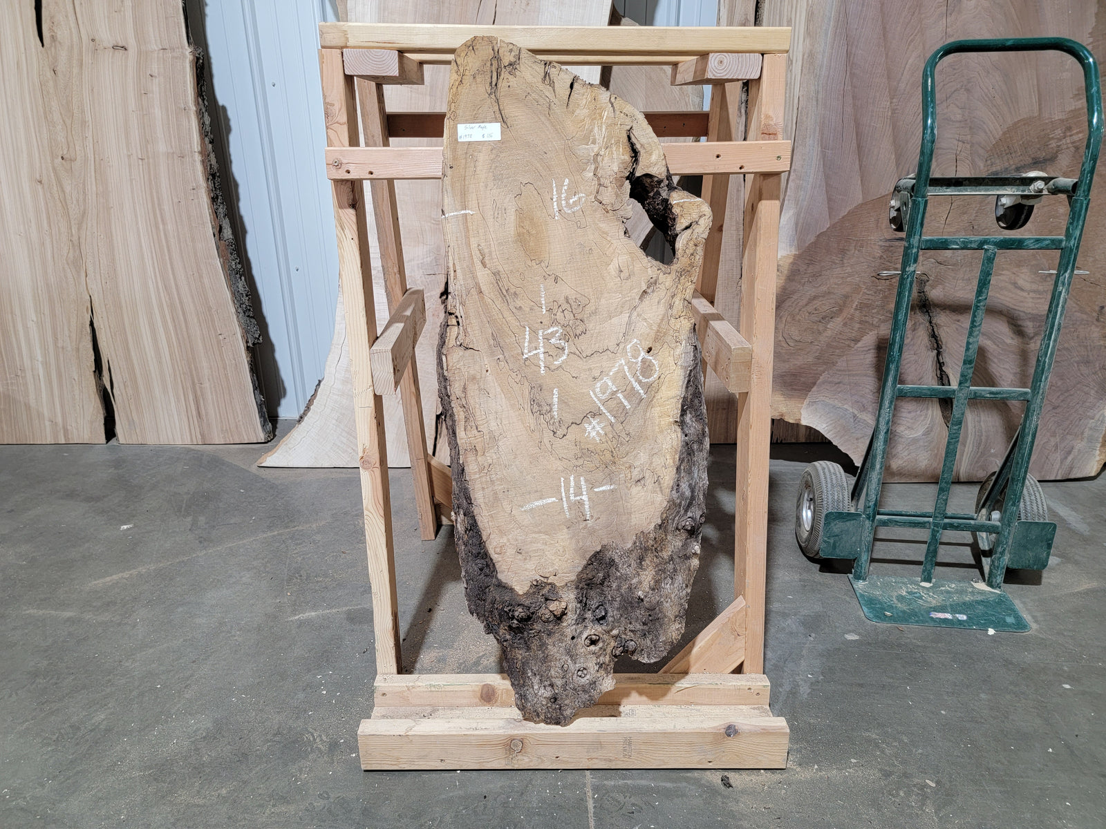 Silver Maple (1978)  43” L x 14-16” W x 2” T