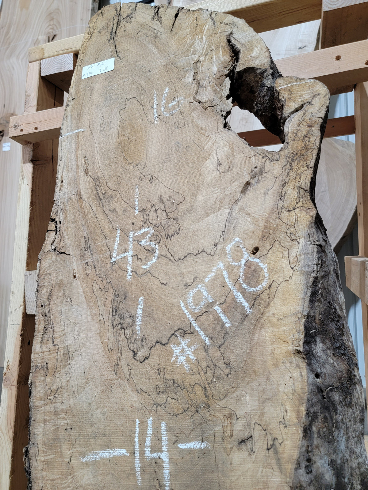 Silver Maple (1978)  43” L x 14-16” W x 2” T