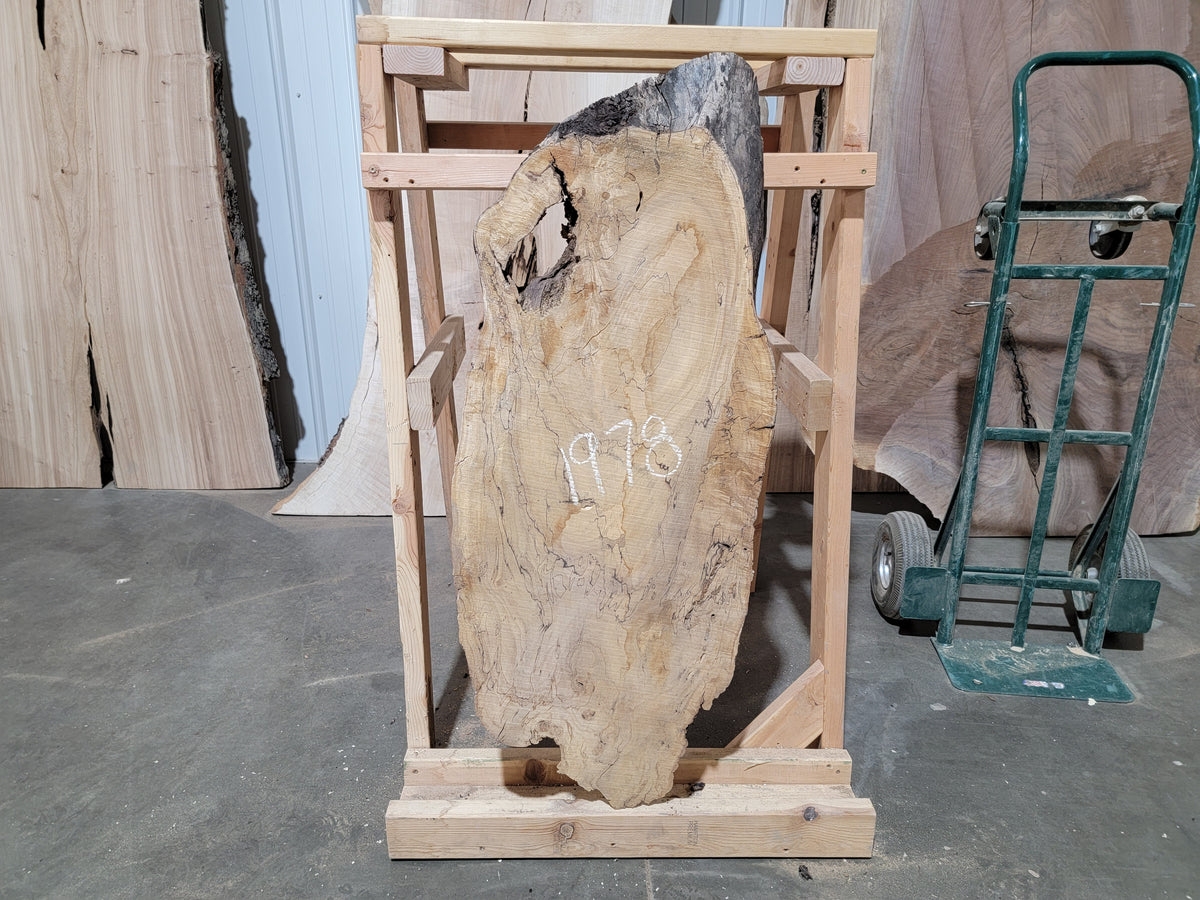 Silver Maple (1978)  43” L x 14-16” W x 2” T