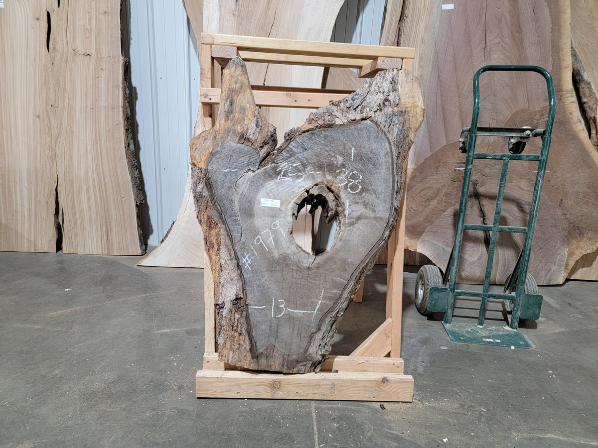 Silver Maple (1979)  38” L x 13-25” W x 2” T