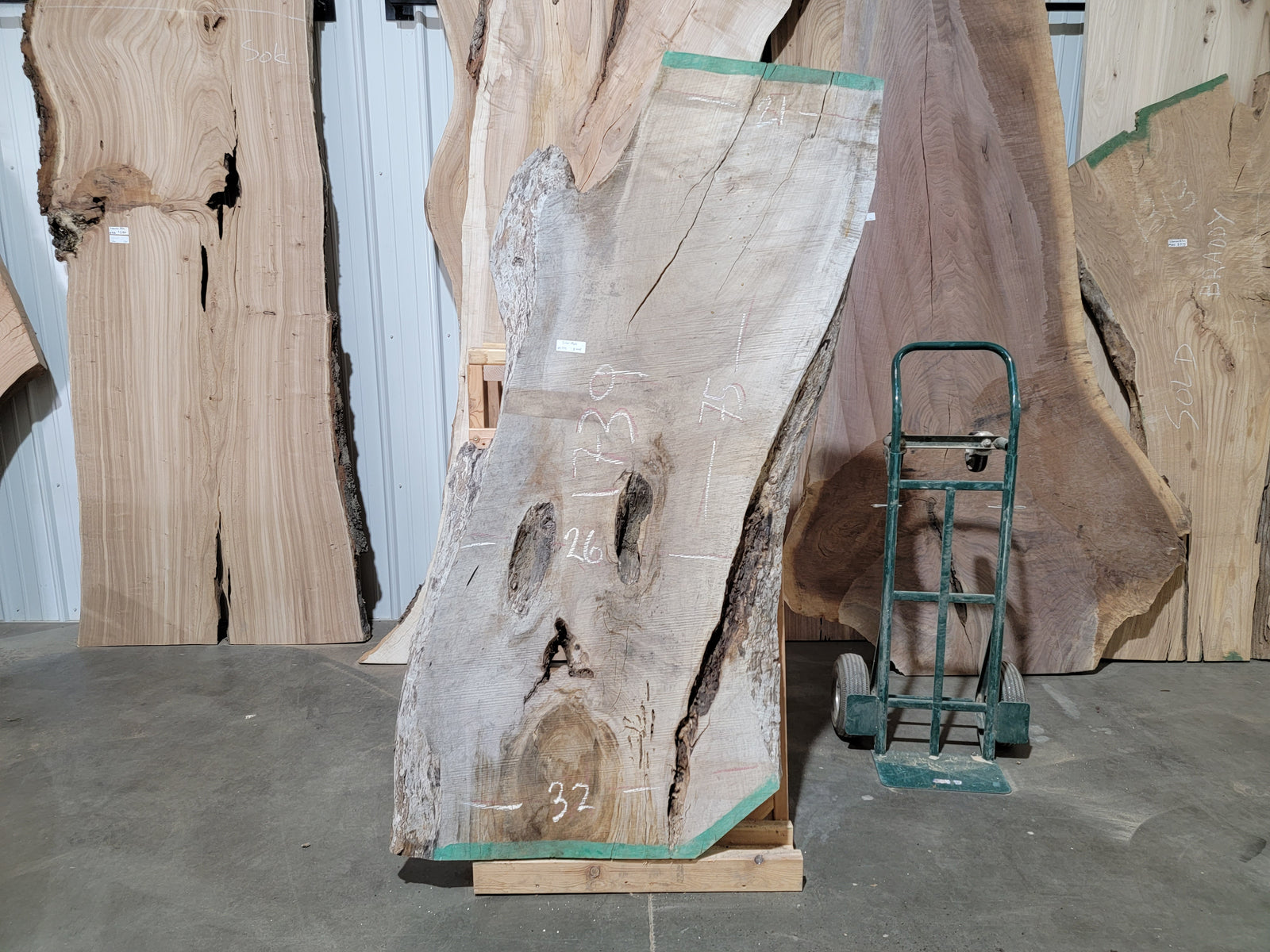 Silver Maple (1739)  75” L x 21-32” W x 2.5” T