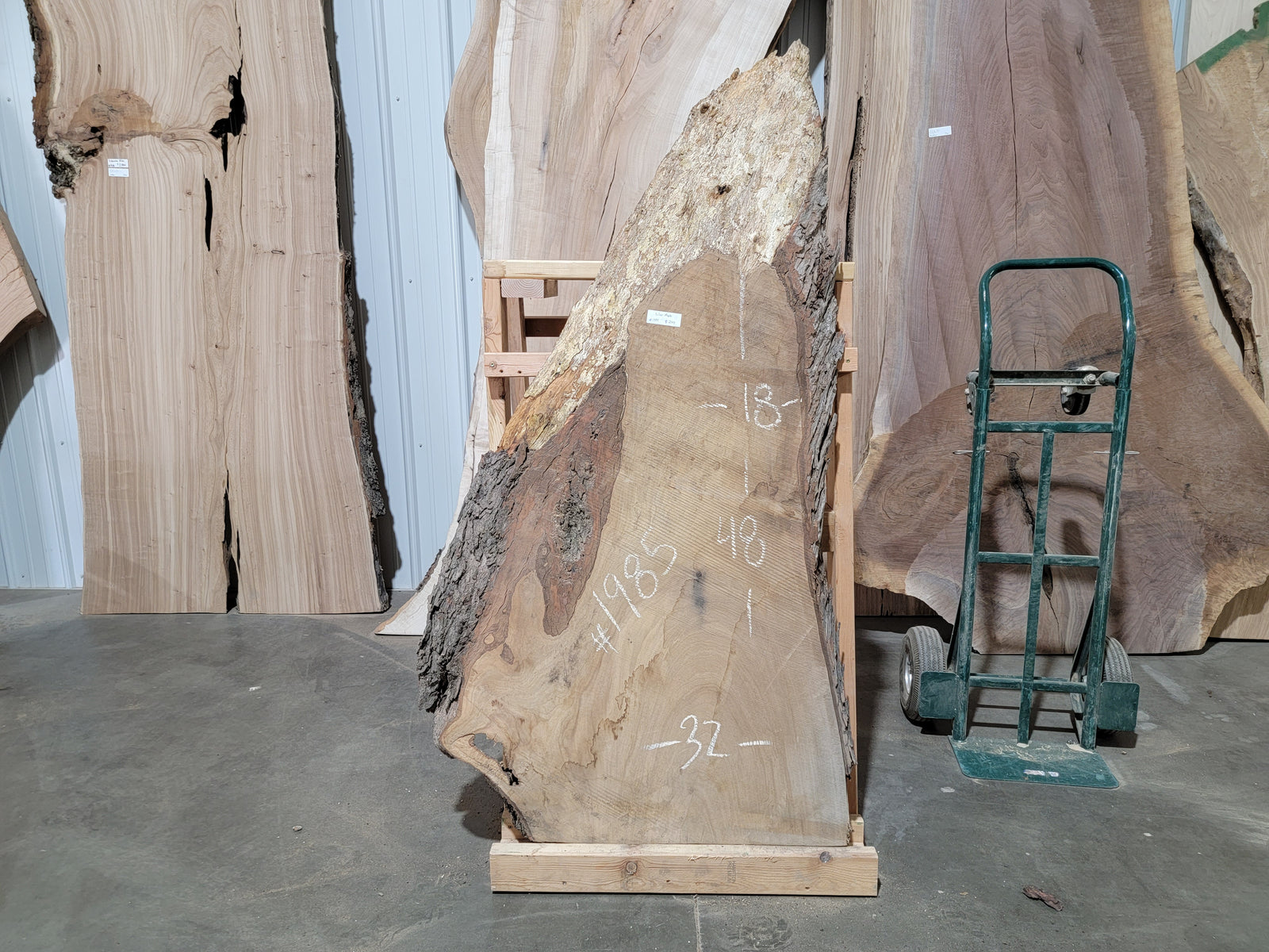 Silver Maple (1985)  48” L x 18-32” W x 2.25” T